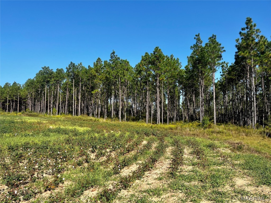 44ac County Rd 41 .