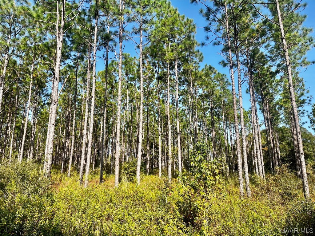 44ac County Rd 41 .