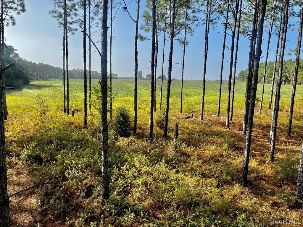 44ac County Rd 41 .