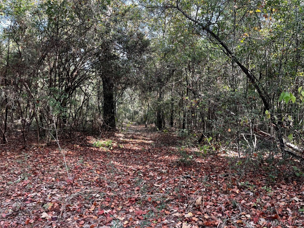 44ac County Rd 41 .