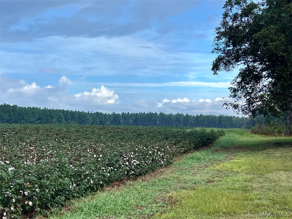 44ac County Rd 41 .