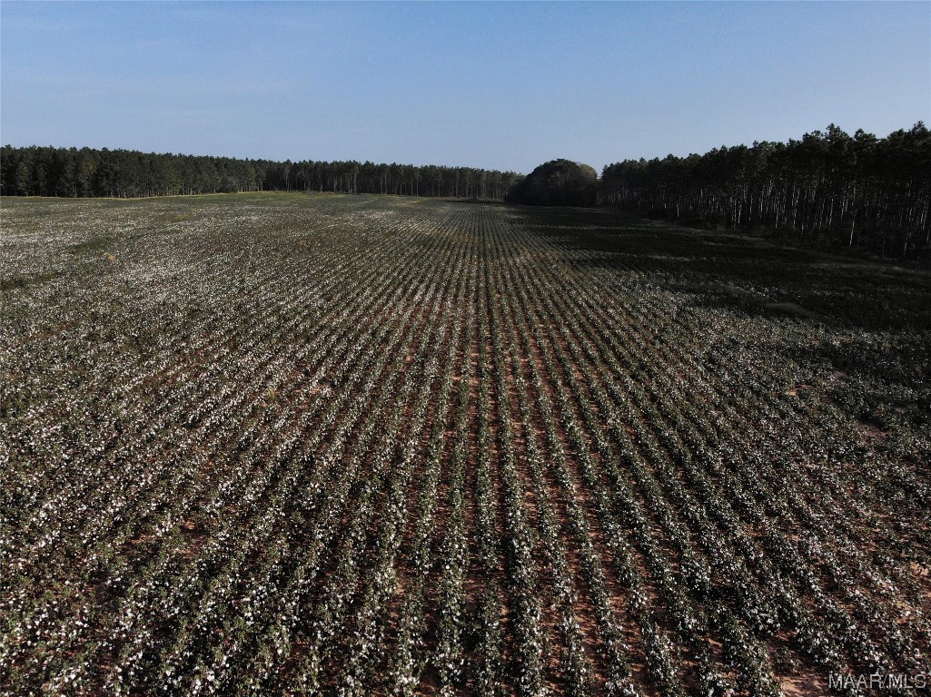 44ac County Rd 41 .