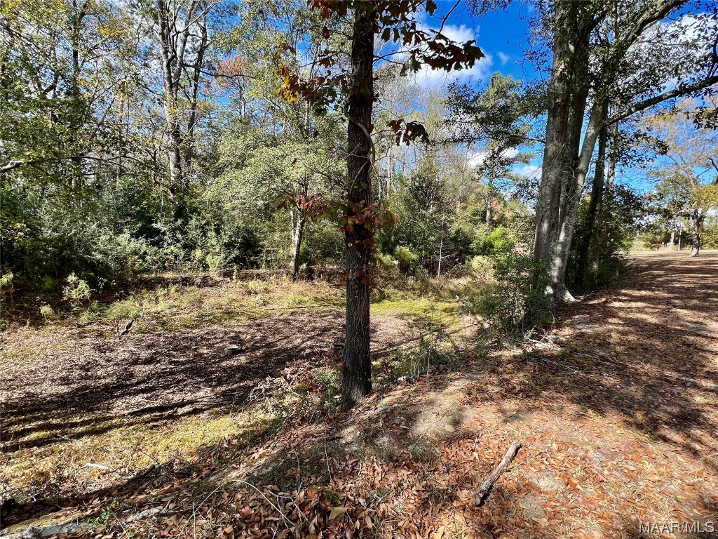 1531 Hornsby Road