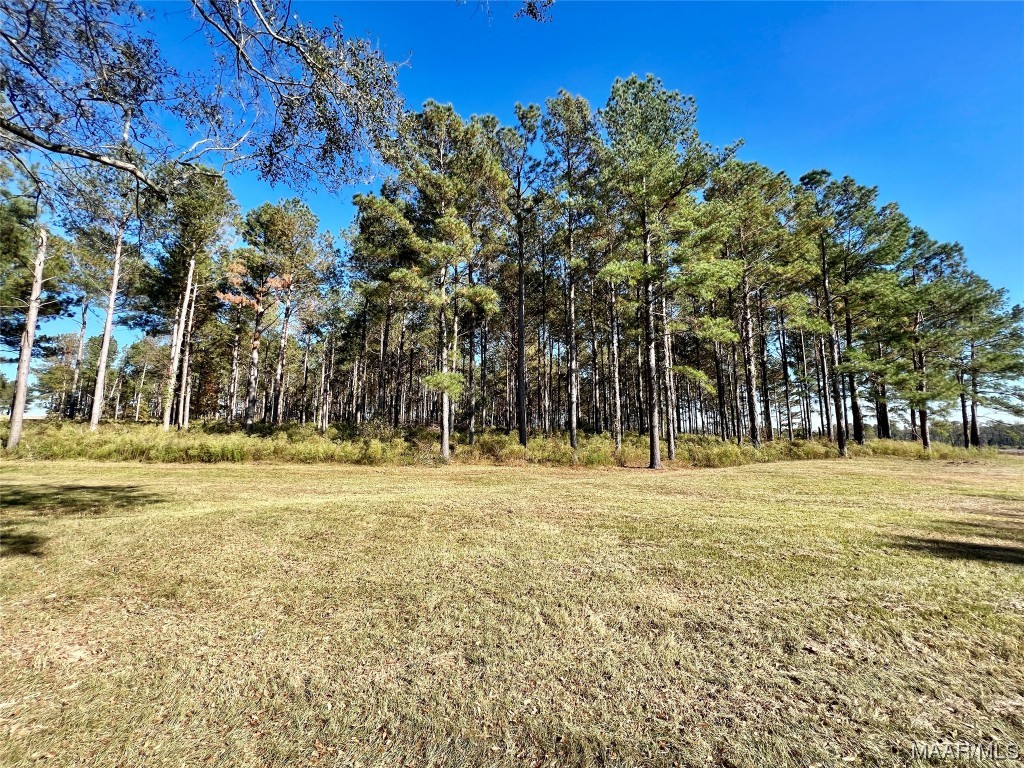 22.3ac County Road 114 .