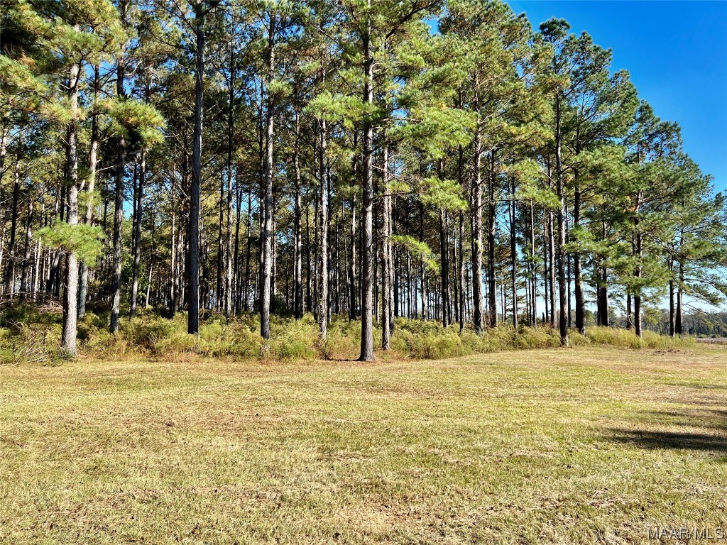 22.3ac County Road 114 .
