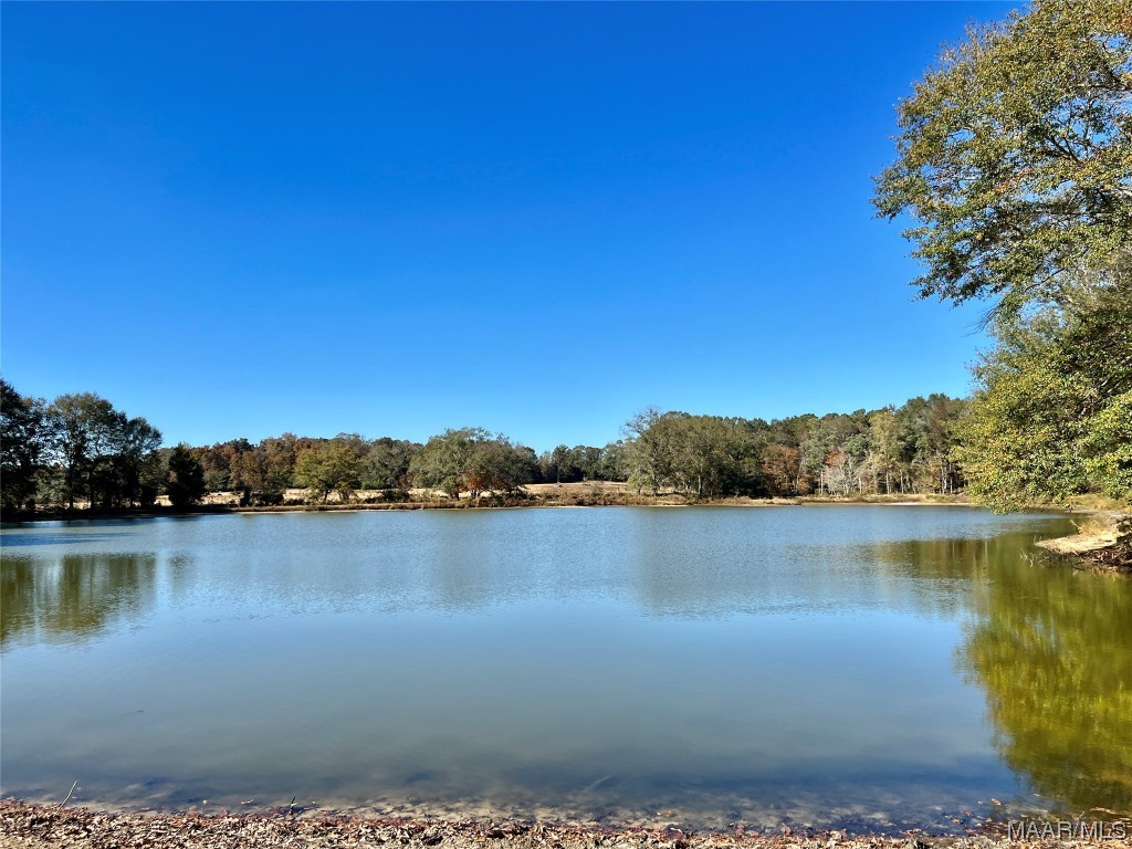 22.3ac County Road 114 .