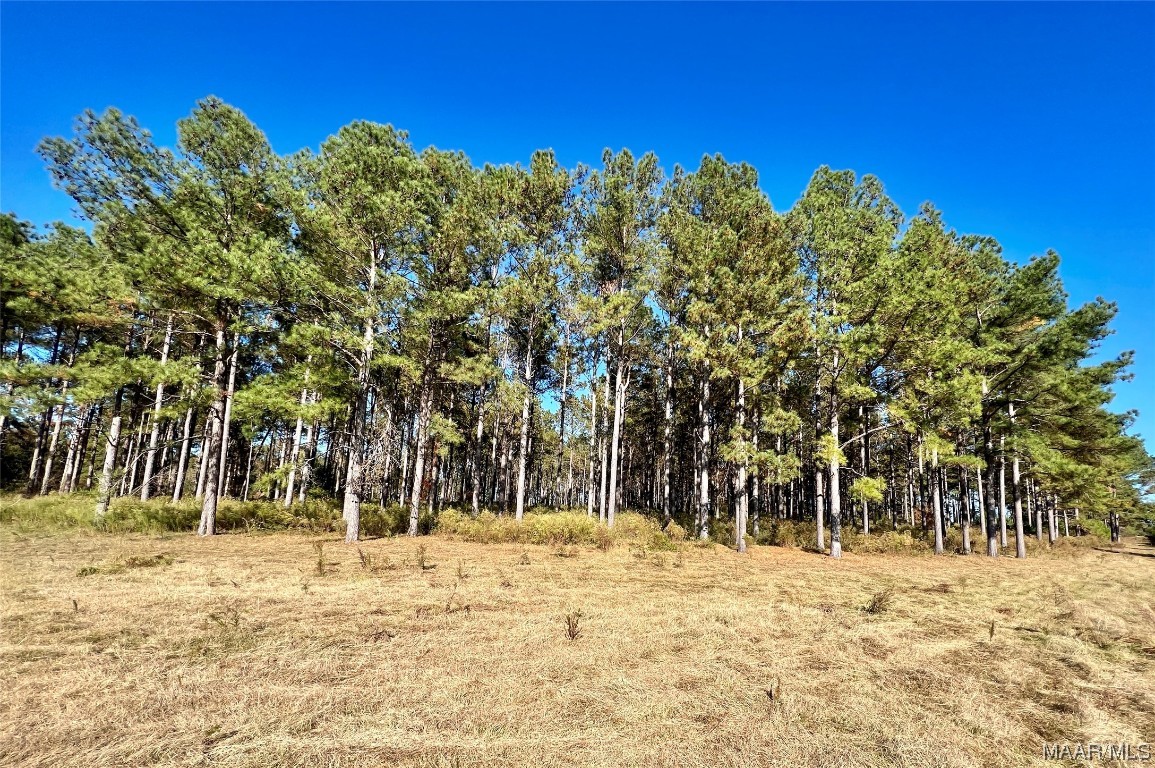 22.3ac County Road 114 .