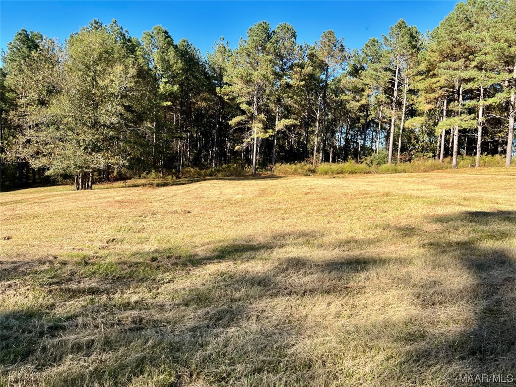 22.3ac County Road 114 .