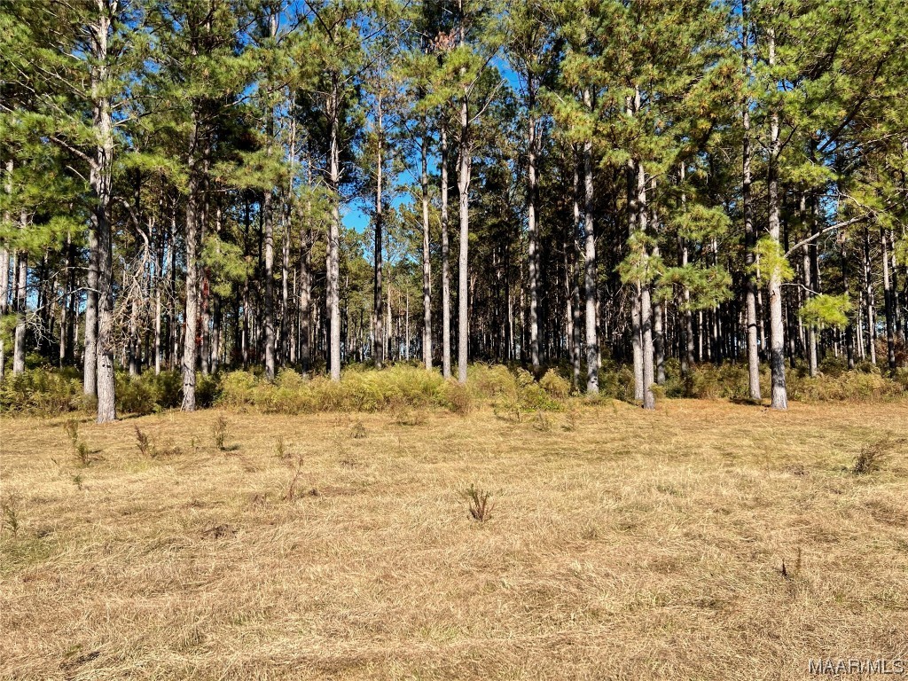 22.3ac County Road 114 .