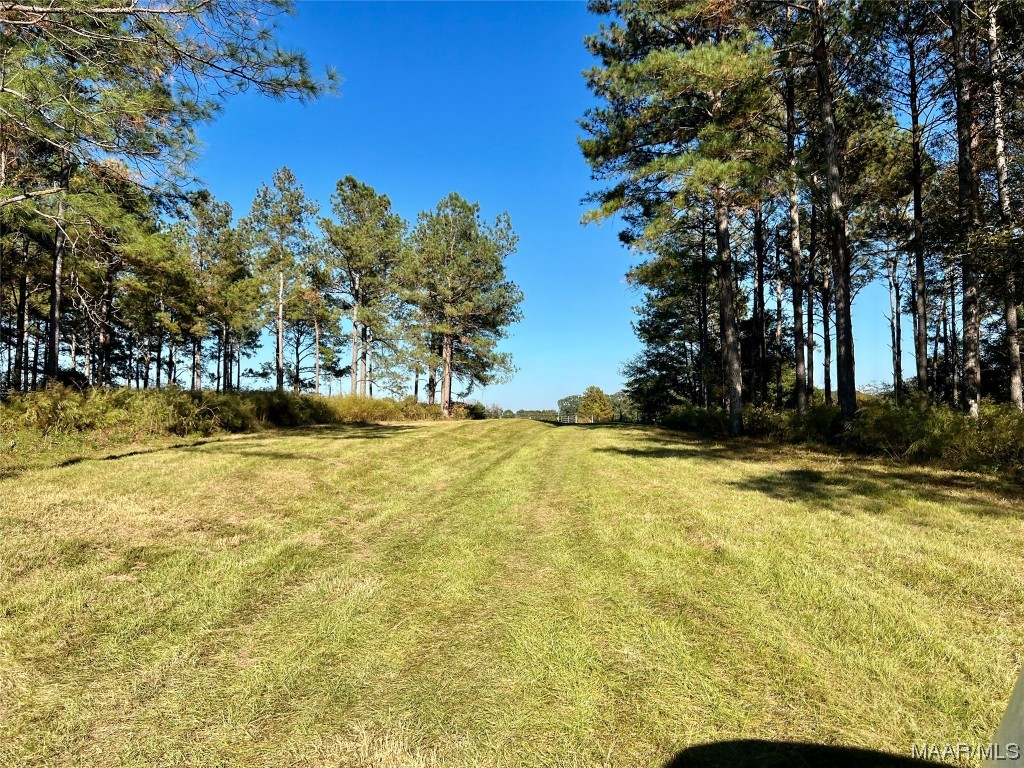 20ac County Road 114 .