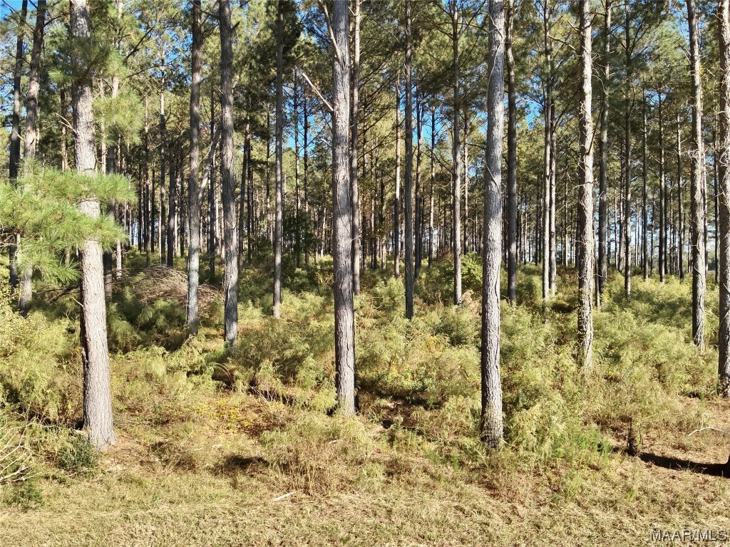 20ac County Road 114 .