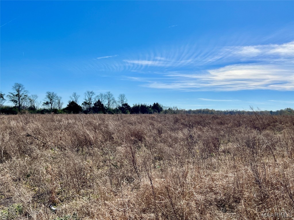 3ac County Road 49 .