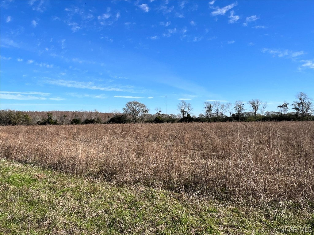 3ac County Road 49 .