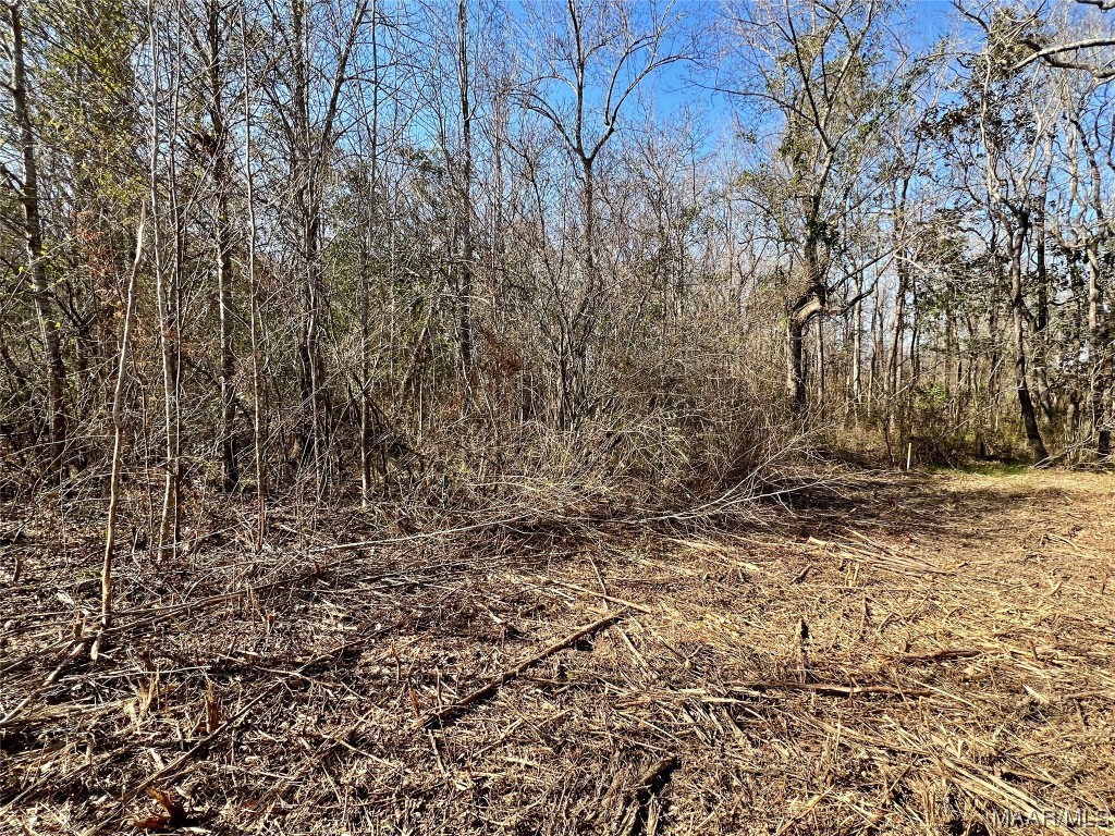 3ac N Morris Street