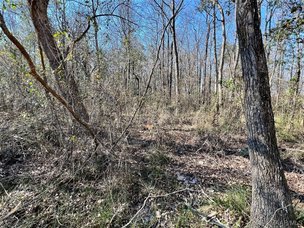 3ac N Morris Street