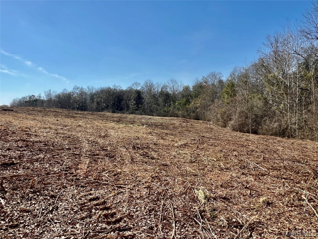 3ac N Morris Street