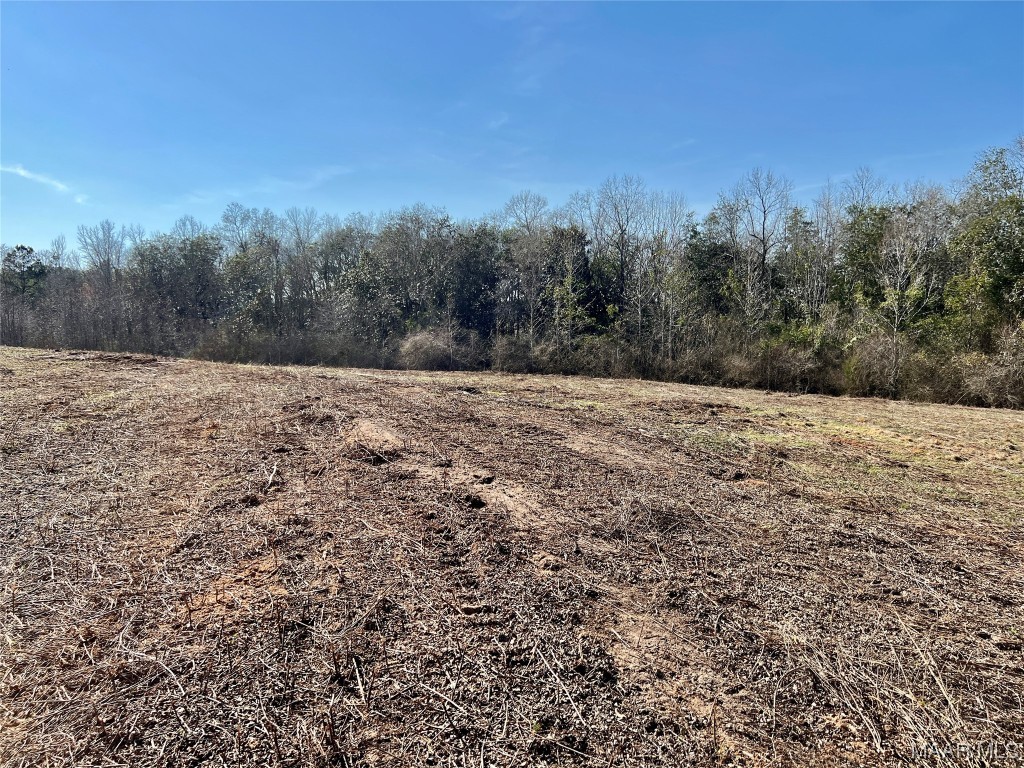 3ac N Morris Street