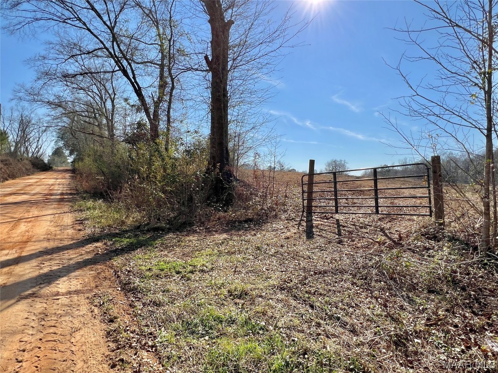 3ac N Morris Street