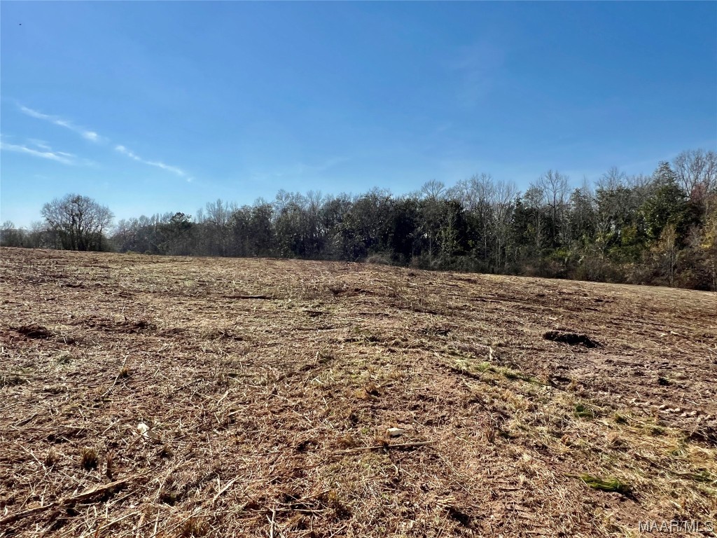 3ac N Morris Street