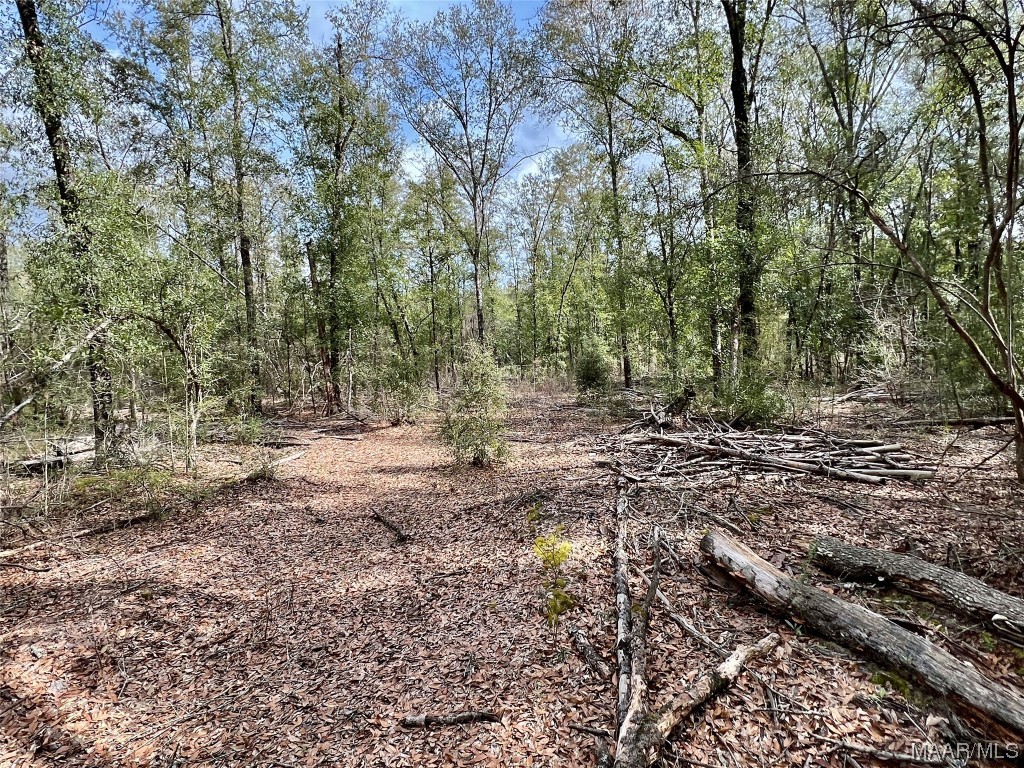 16.8AC Mound Road