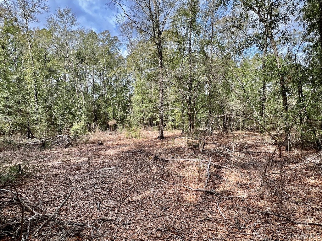 16.8AC Mound Road
