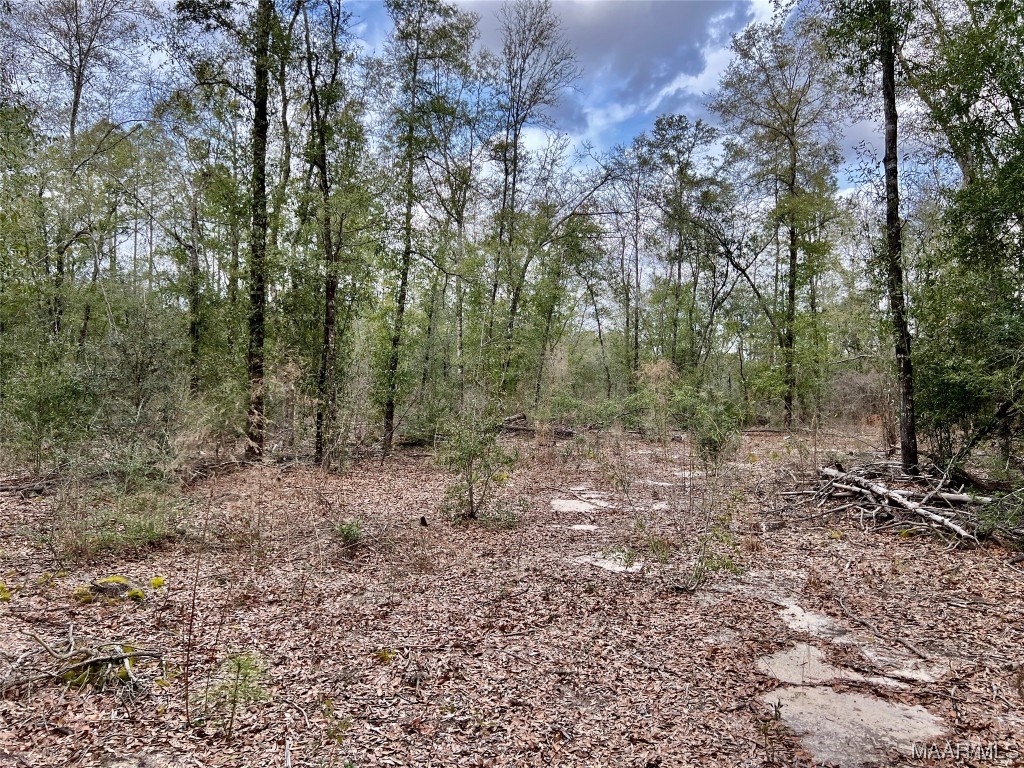 16.8AC Mound Road