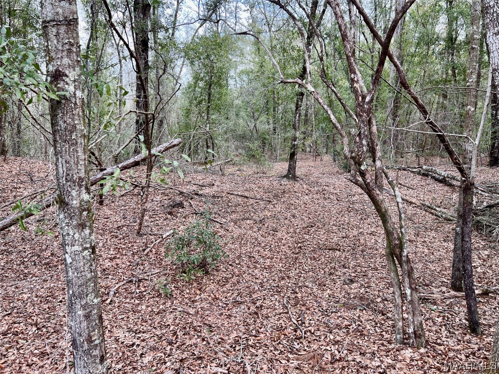 16.8AC Mound Road
