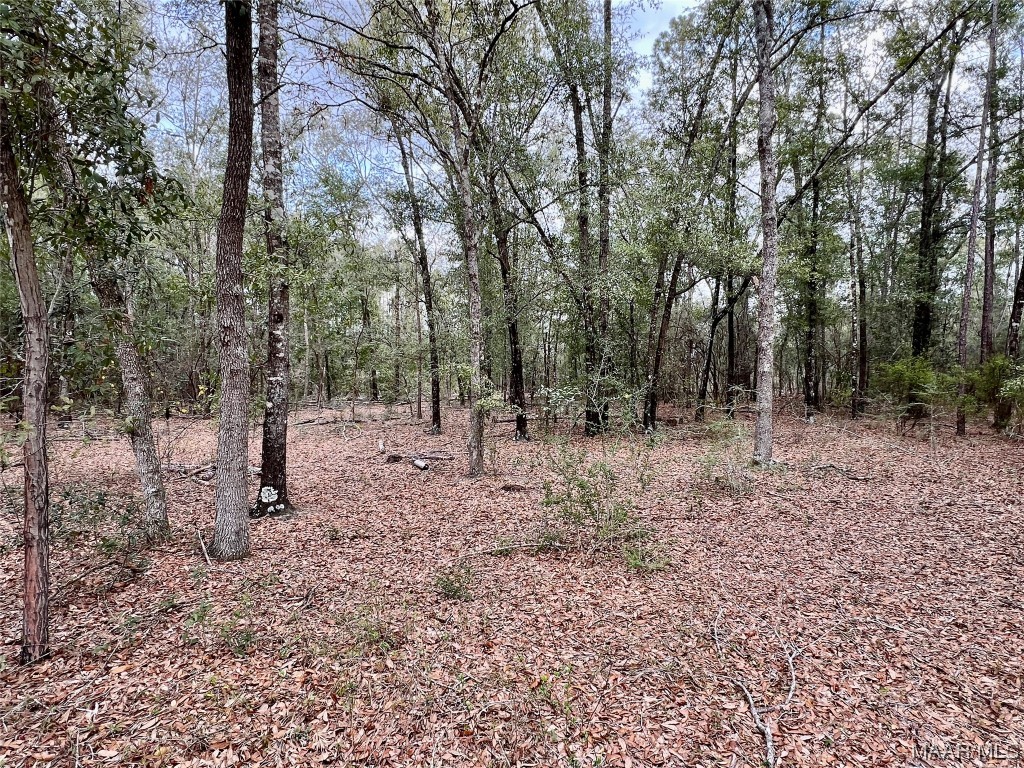 16.8AC Mound Road