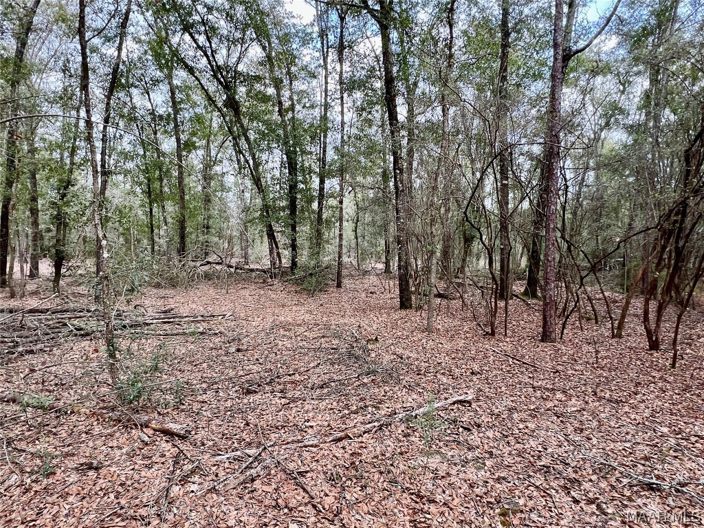16.8AC Mound Road