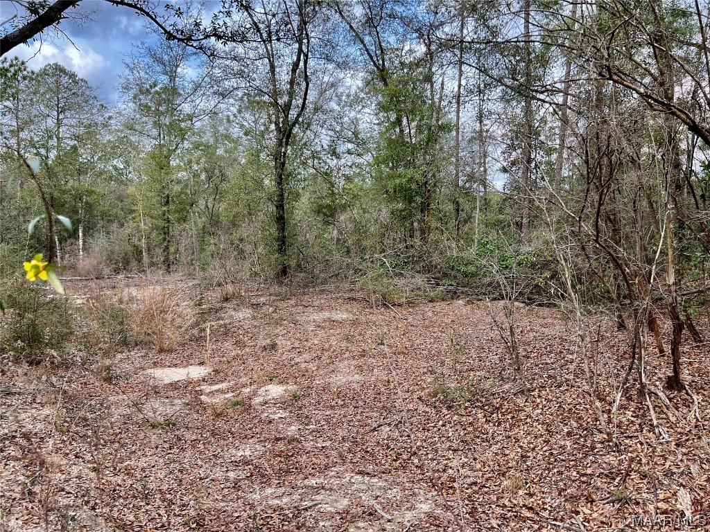 16.8AC Mound Road