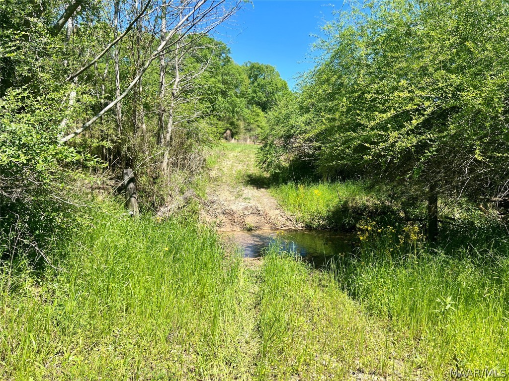 33.5 acres County Road 474 .