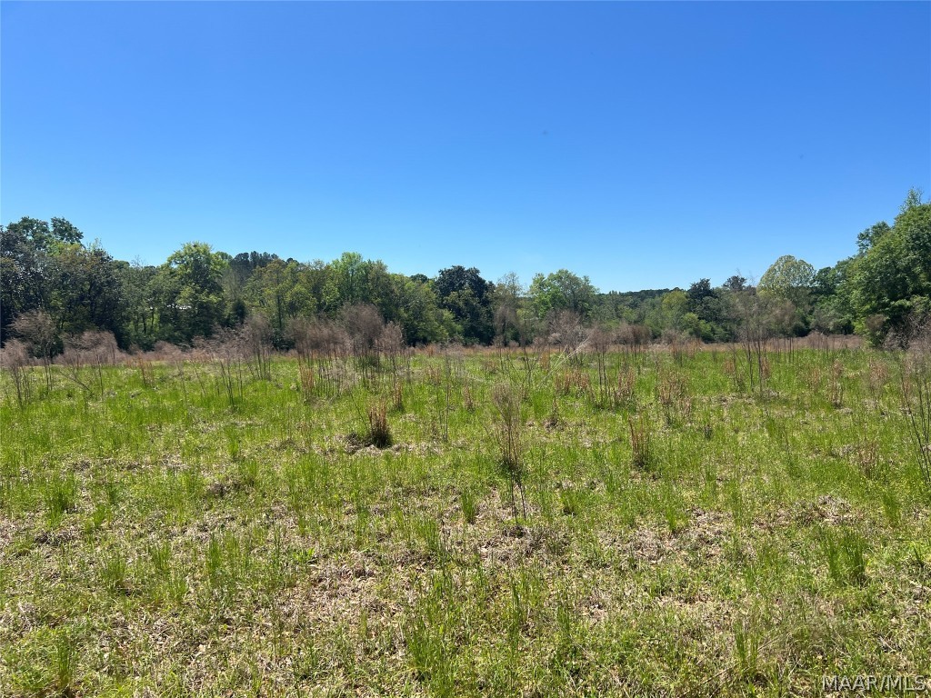 33.5 acres County Road 474 .