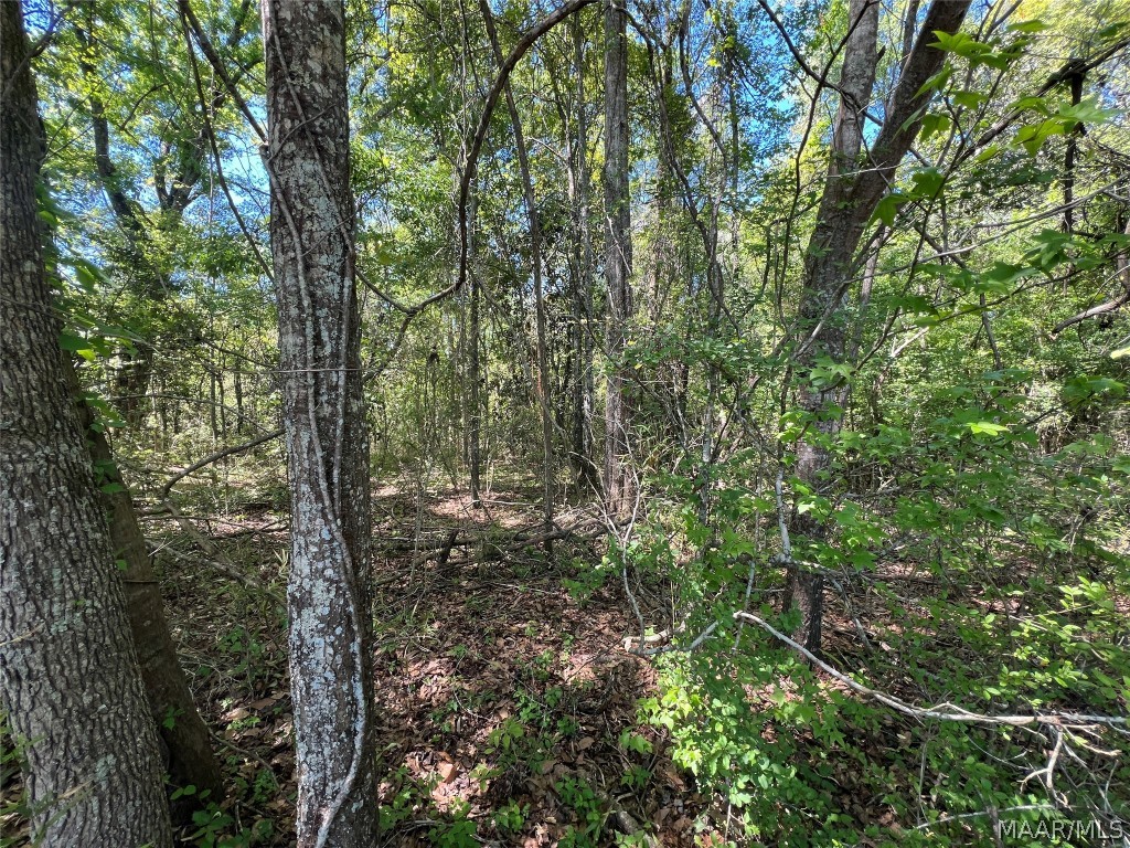 33.5 acres County Road 474 .