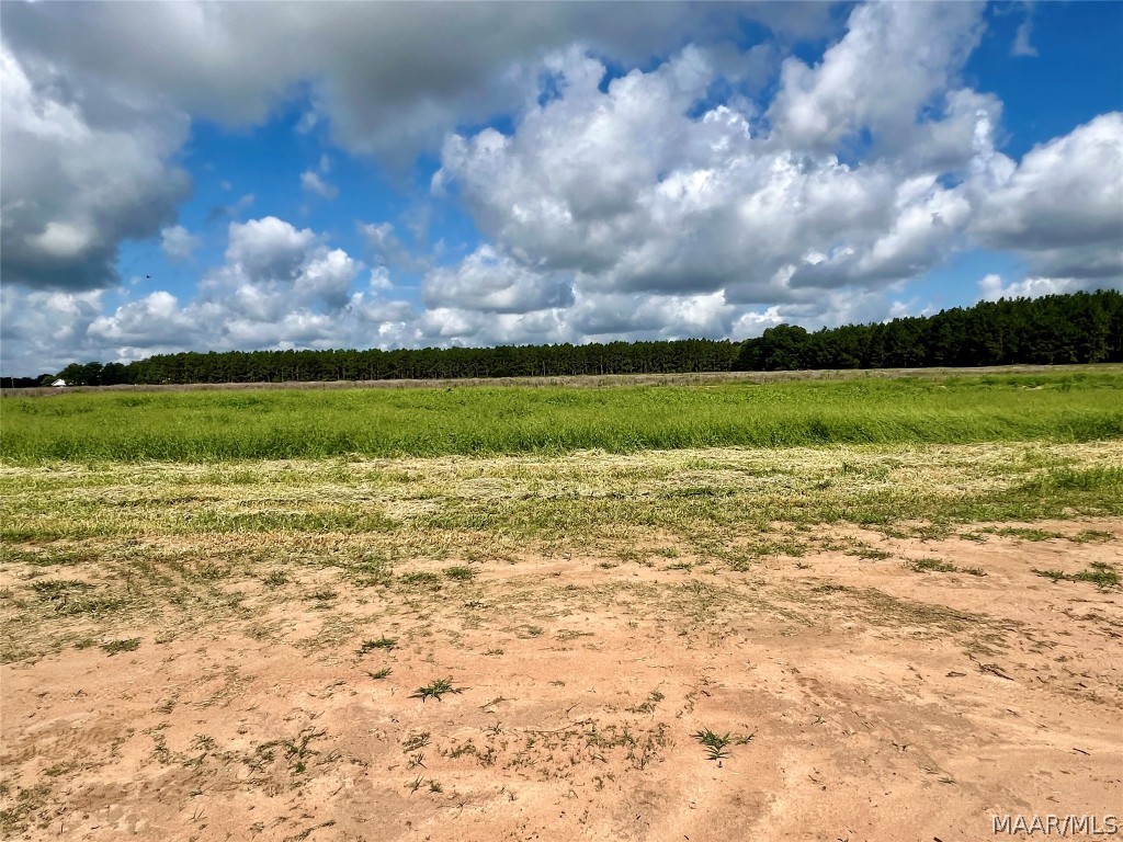 10907 County Road 41 .