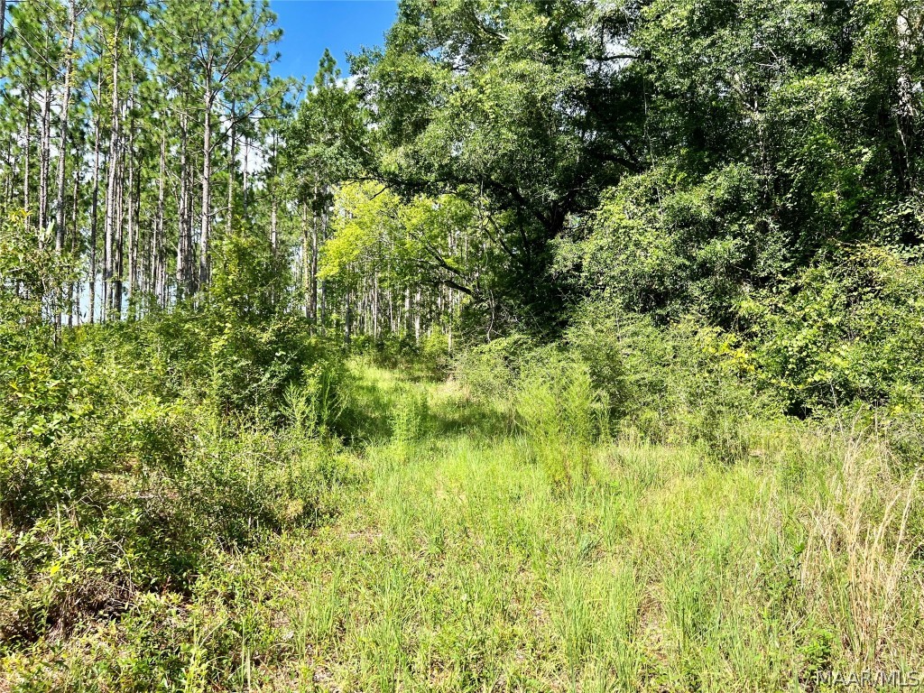 10907 County Road 41 .