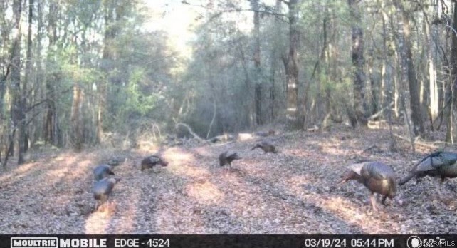 10907 County Road 41 .