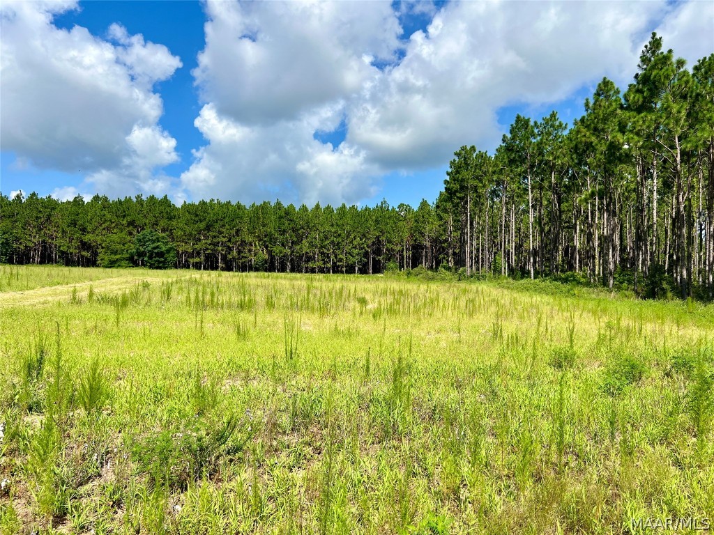 10907 County Road 41 .