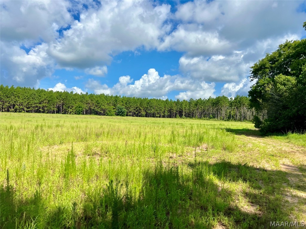 10907 County Road 41 .