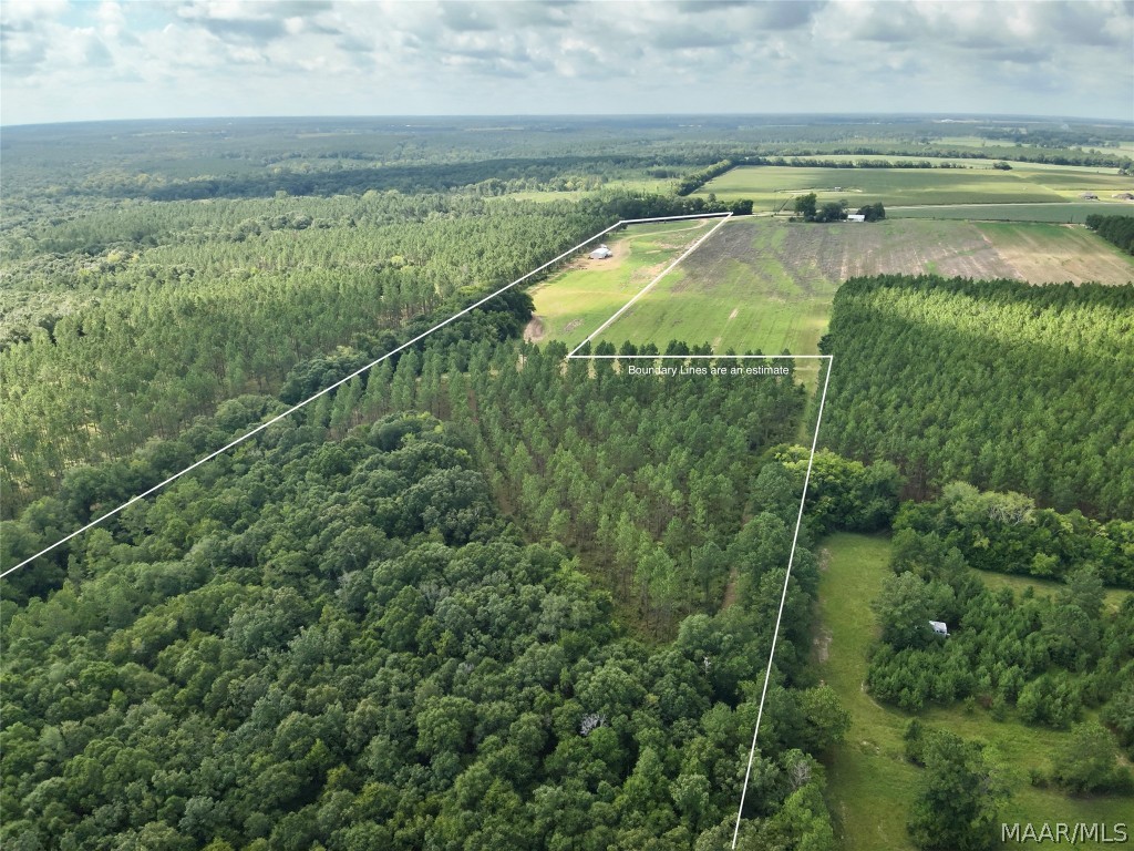 10907 County Road 41 .