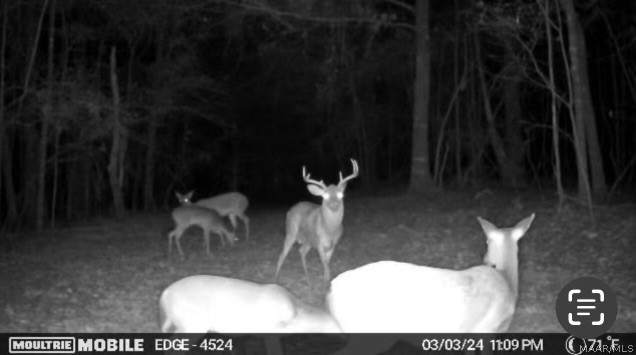 10907 County Road 41 .