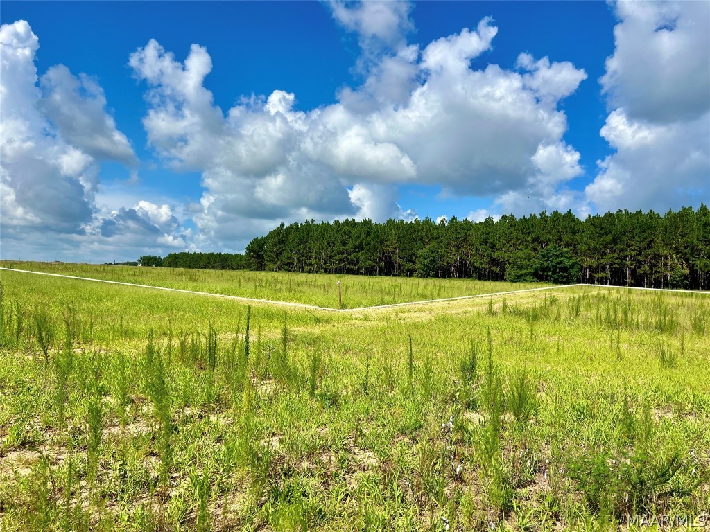 10907 County Road 41 .