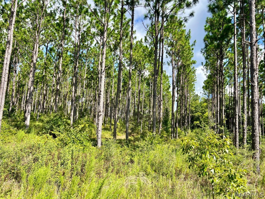 10907 County Road 41 .