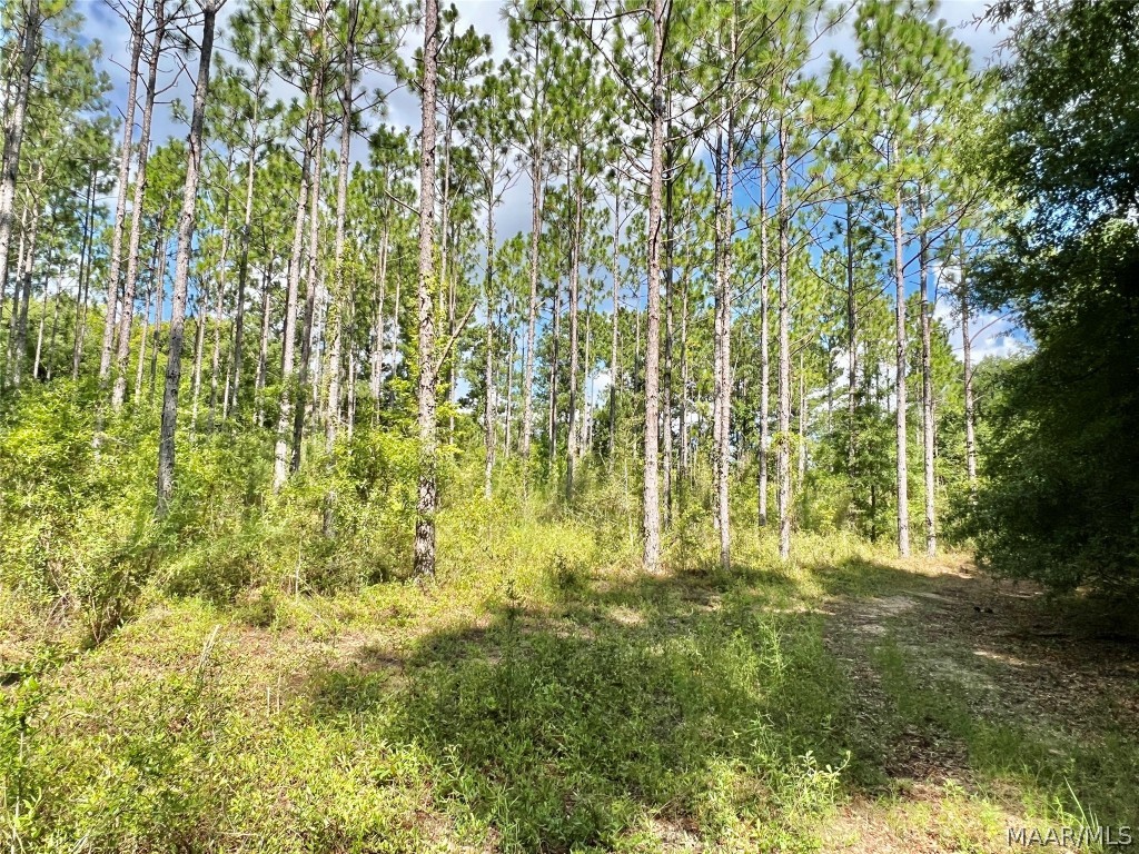 10907 County Road 41 .