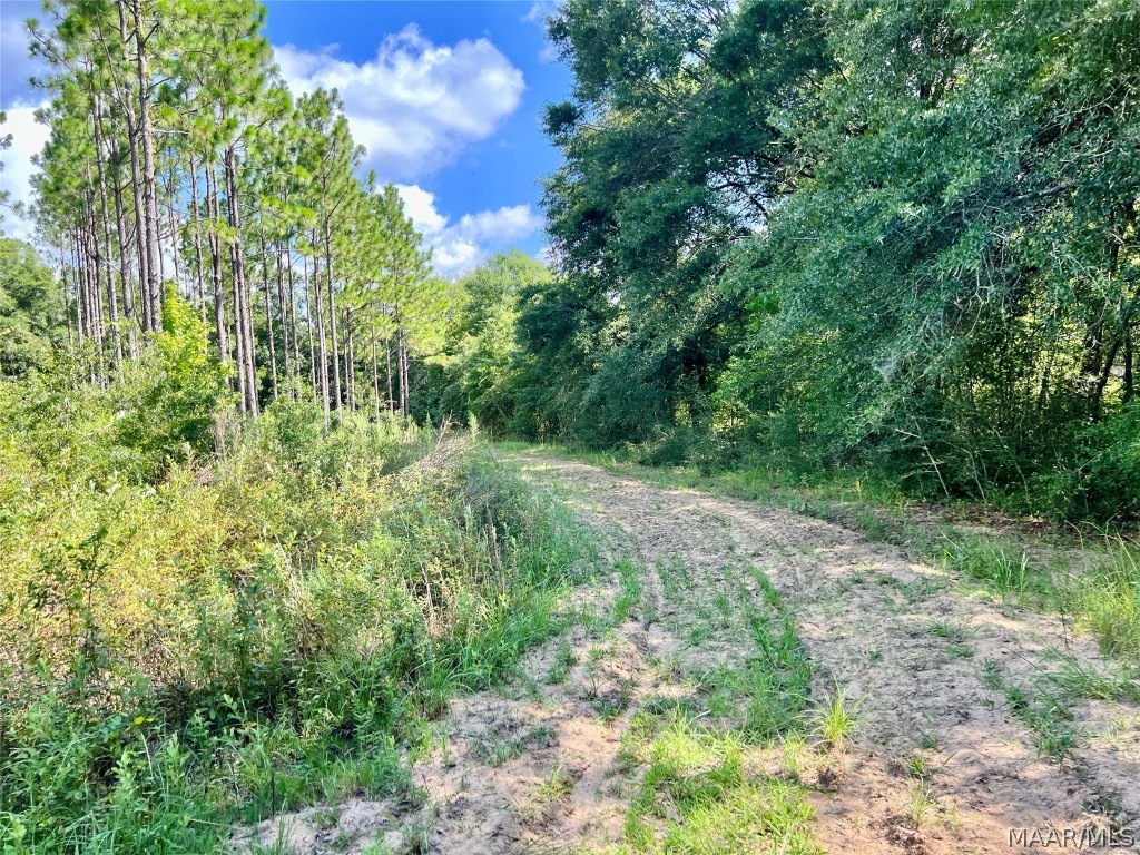 10907 County Road 41 .