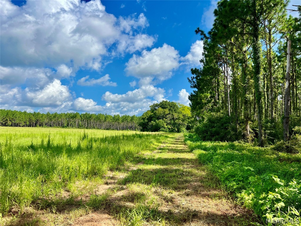 10907 County Road 41 .
