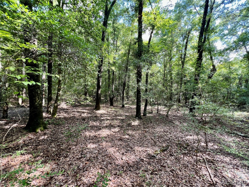10907 County Road 41 .