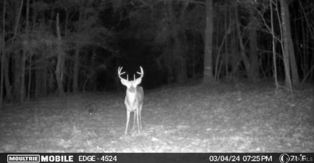 10907 County Road 41 .