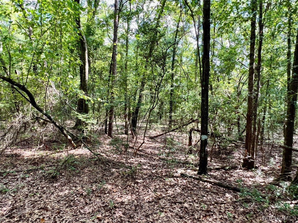 10907 County Road 41 .