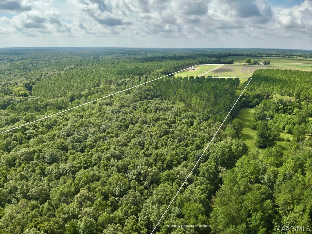 10907 County Road 41 .