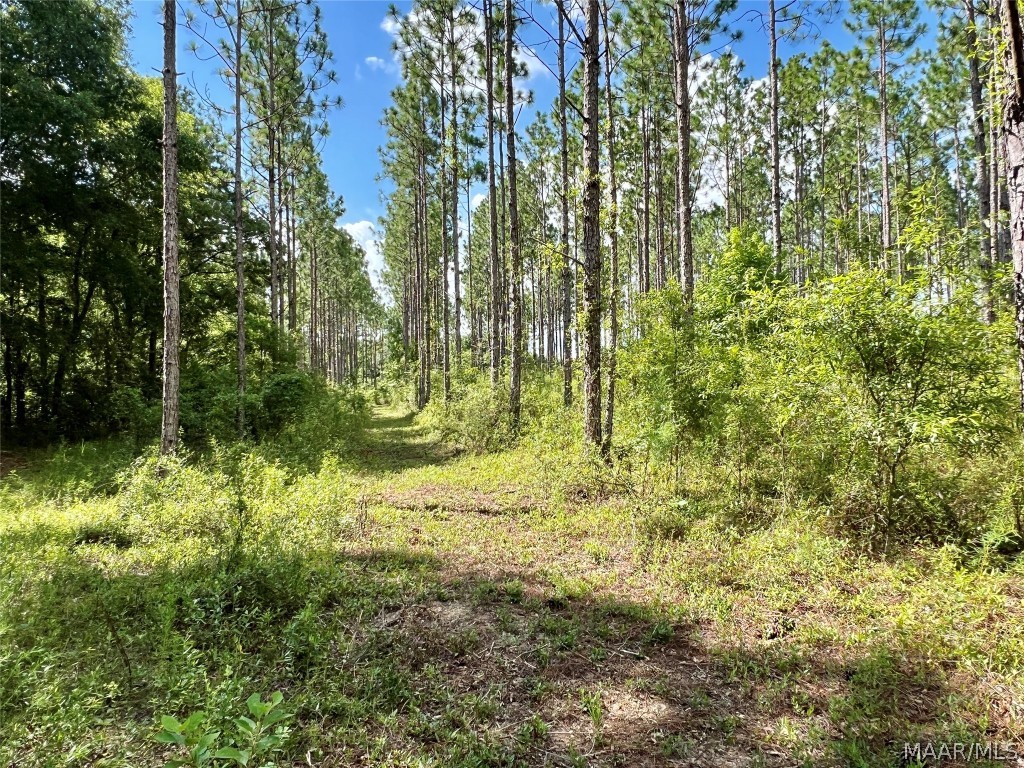 10907 County Road 41 .